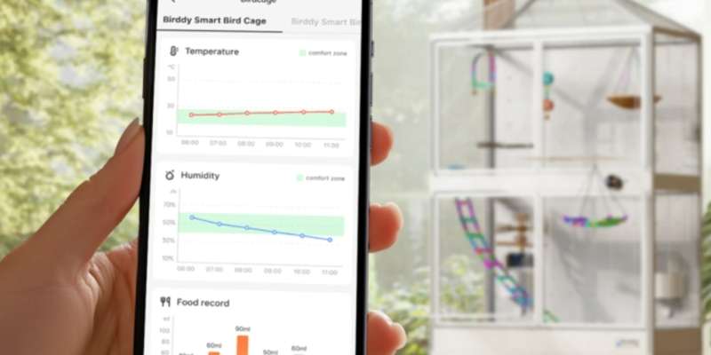Представлена умная клетка для птиц, которая сама кормит пернатых и убирает за ними